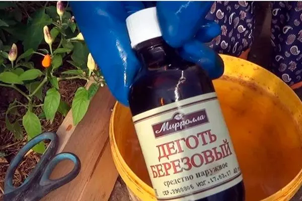 Берёзовый дёготь