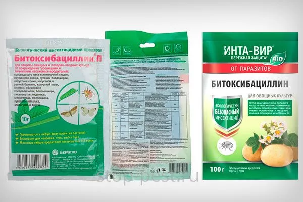 Битоксибациллин Паутинный клещ16