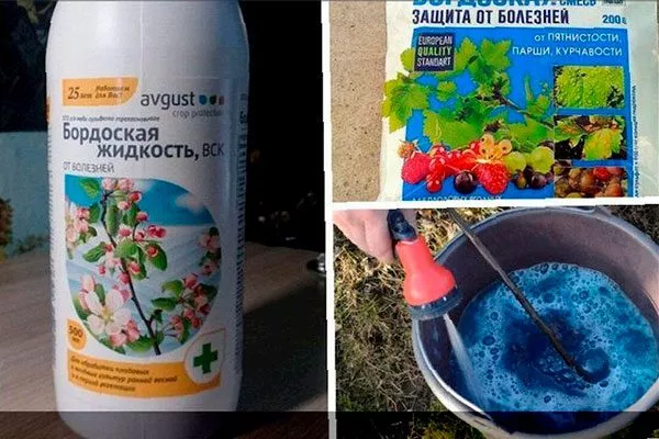 бордоскую жидкость