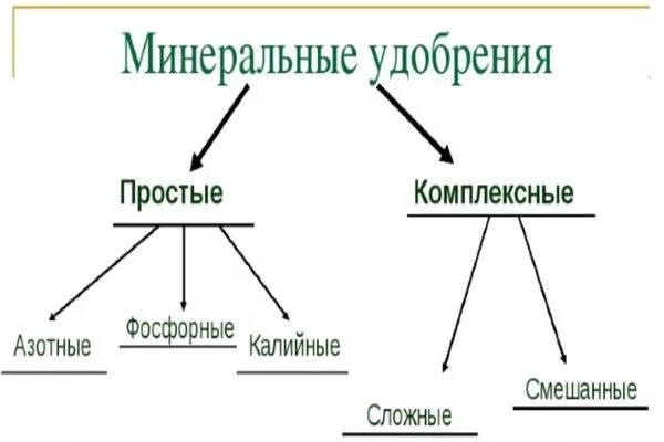 виды минеральных удобрений для пионов