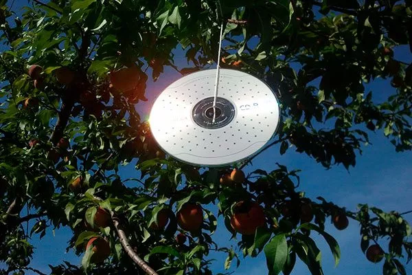 диски для отпугивания птиц