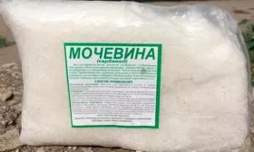 добавлением мочевины яблони уральское наливное5