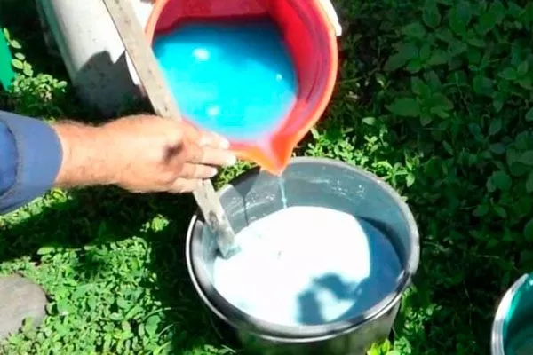 Добавляйте в побелку немного медного купороса для сибири и урала9