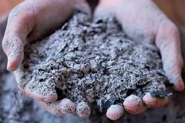 Древесная зола Удобрение грецкого ореха5