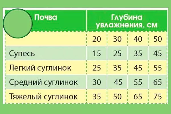 Факторы, влияющие на частоту полива яблонь Полив яблони22