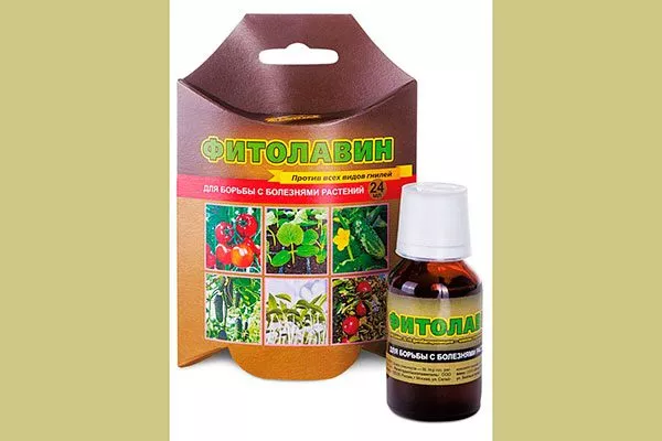 Фитолавин