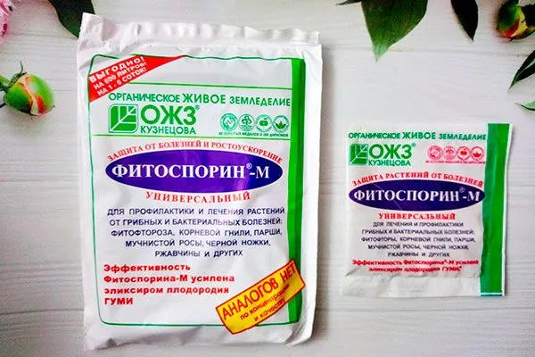 Фитоспорин посадка пионов39