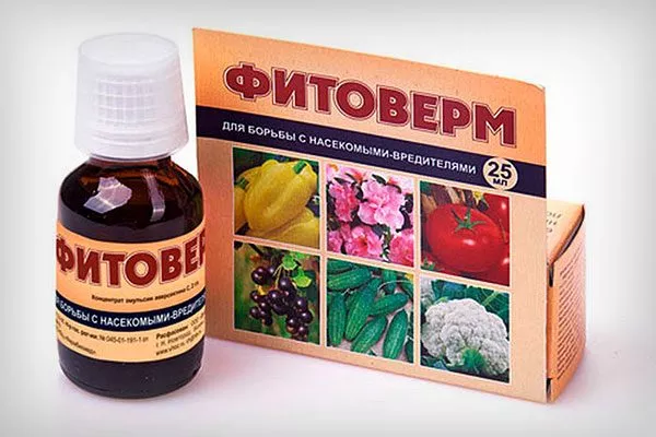 Фитоверм2 болезни сливы25