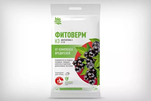 фитовермПаутинный клещ4