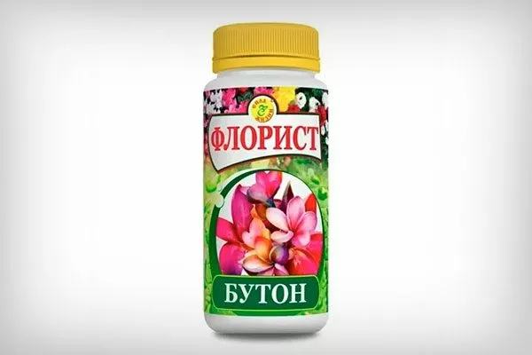 Флорист Бутон как удобрять пеларгонию35