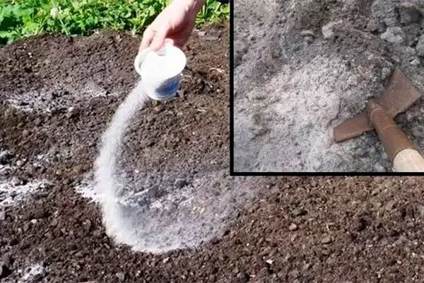 гашёная известь