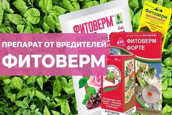 биопрепарат Фитоверм от вредителей на яблоне