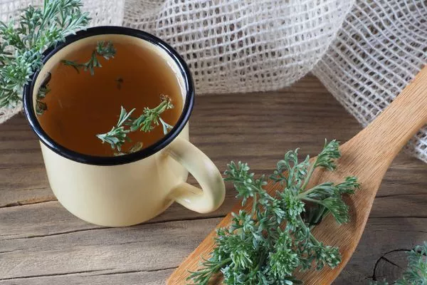 отвар полыни от вредителей яблони