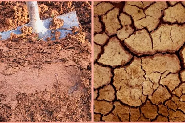 Глинистые грунты как поливать4