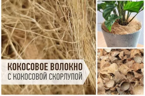 кокосовое волокно