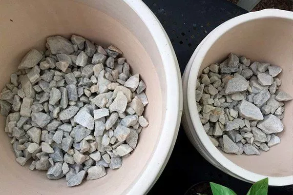 дренажный слой на дне горшка