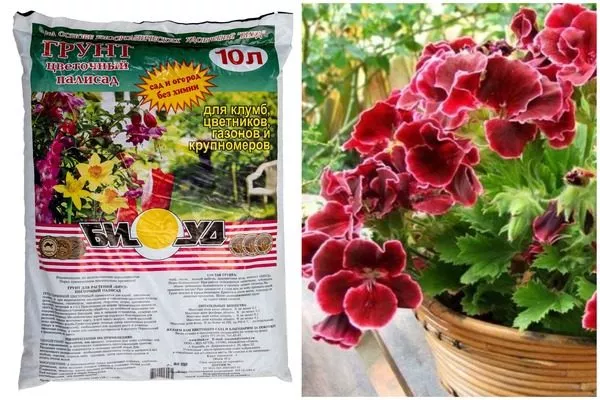 покупной грунт для пеларгоний