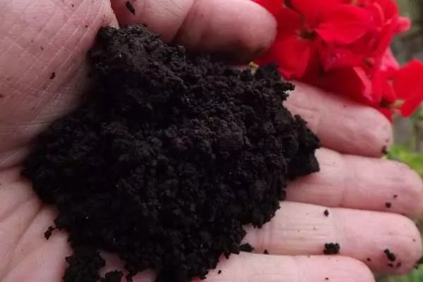 низинный торф