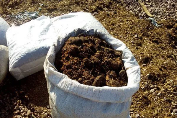 перегной для цветов