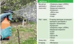 обработки груши Первомайская от болезней