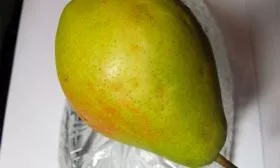 груша плод груши Память Жегалова3