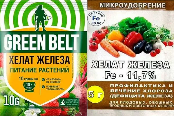 хелат железа подкормить сливу46