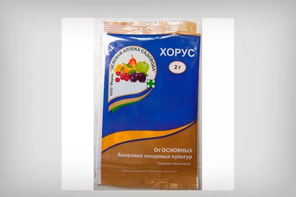 Хорус от парши