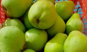 хранение груши Память Жегалова27