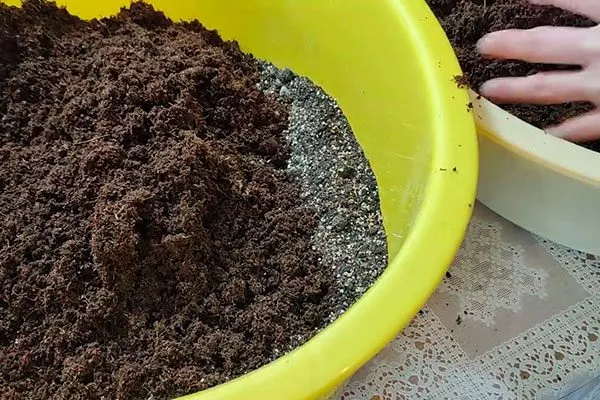 Идеальный грунт для пиона Критерии выбора почвы5