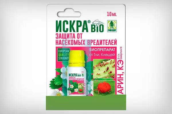 Искра