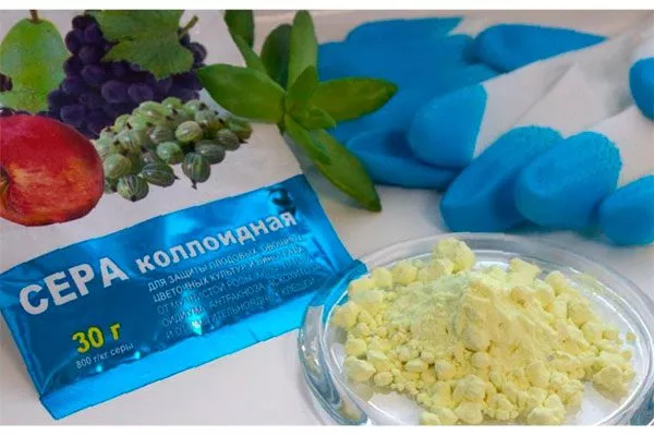 Из коллоидной серы