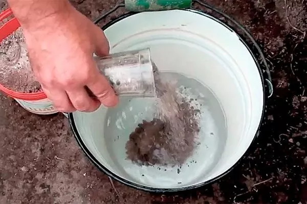 Из золы и соли