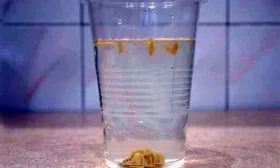 Калибровка1 огурцов Санькина любовь7