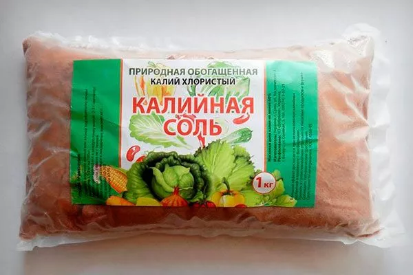 калийную соль Удобрение грецкого ореха6