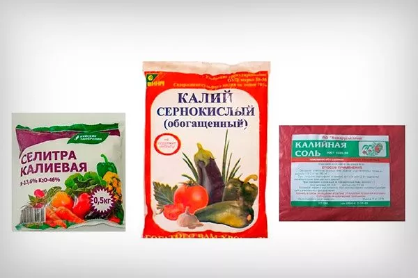 Калийные Чем подкормить хурму3