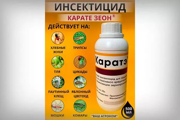 карате11 способы борьбы10