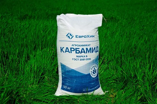 Карбамид для яблони22