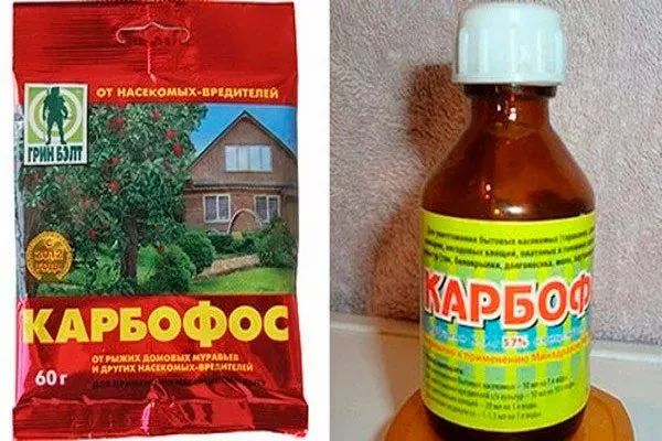 Карбофос способы борьбы11