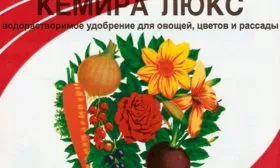 Кемиру Люкс томатов Винный кувшин6