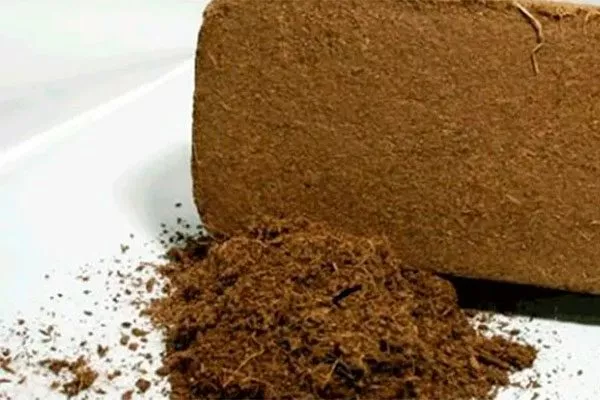 кокосовый субстрат Критерии выбора почвы6