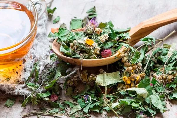 Комбинированные травяные настои способы борьбы13