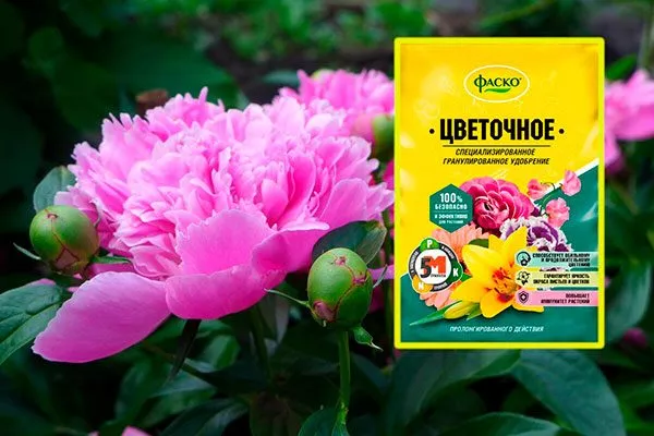 комплексные удобрения с преобладанием фосфора и калия