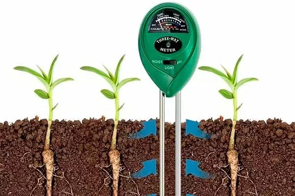 Контроль уровня влаги в почве как поливать6