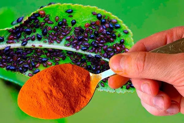 Красный перец