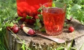 настой крыжовника Серенада