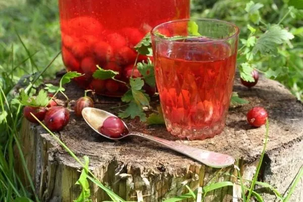 настой крыжовника Серенада