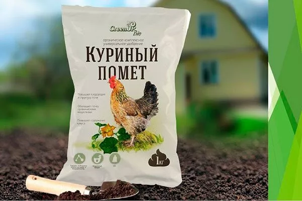 Куриный помёт подкормить сливу22