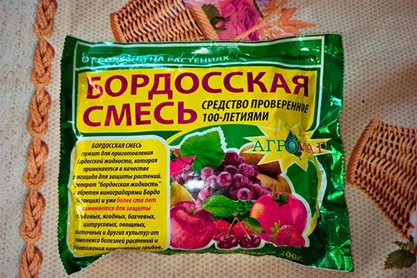 Лечение парши груши1