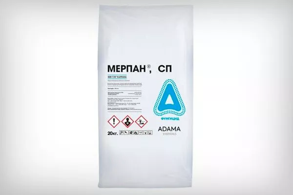 Лечение парши груши18