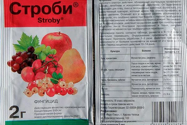 Лечение парши груши2